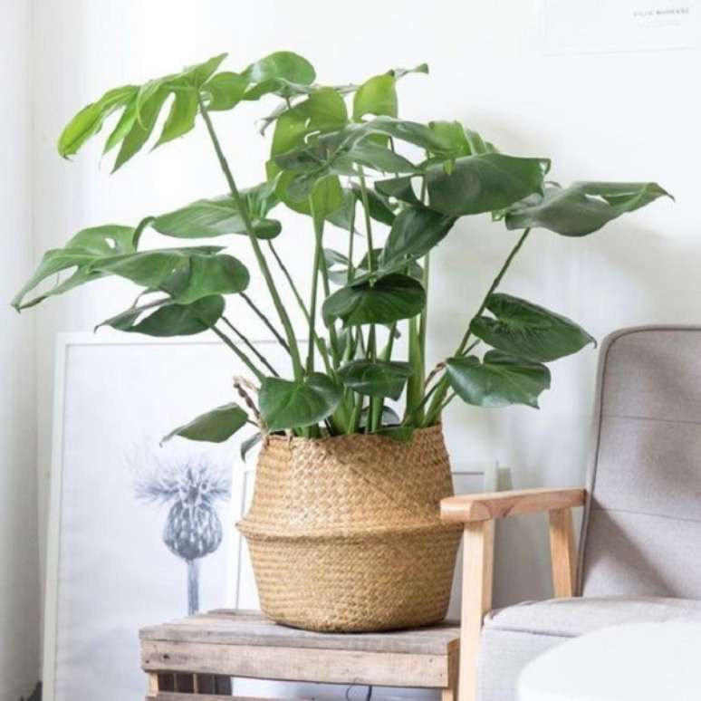 30. Cesto de palha para plantas na sala de estar &ndash; Foto Casa Abril