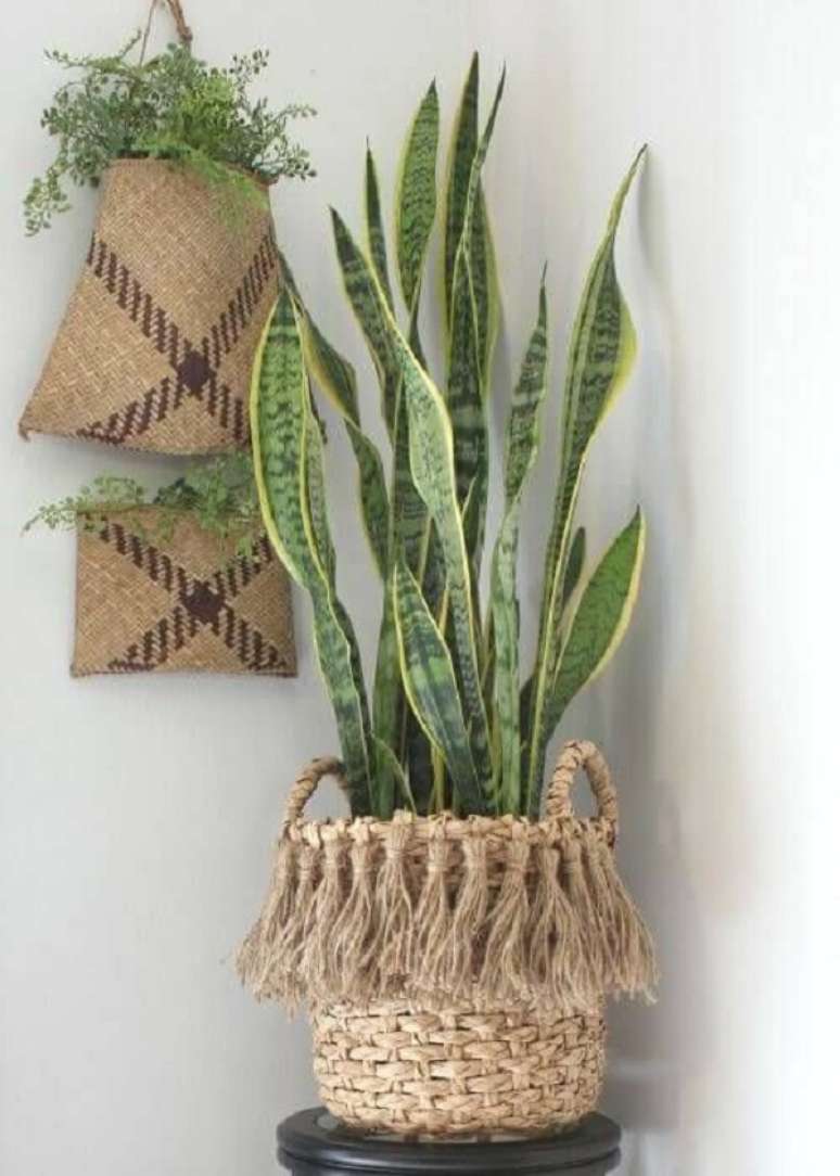 29. Cesto de palha para plantas &ndash; Foto Decor Facil