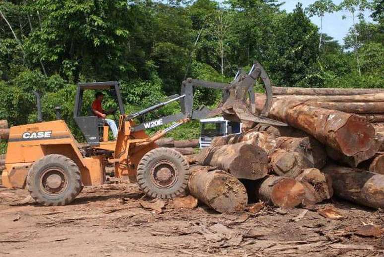 Desmatamento entre agosto de 2014 e julho deste anoequivale a 3,5 vezes o tamanho da cidade de São Paulo