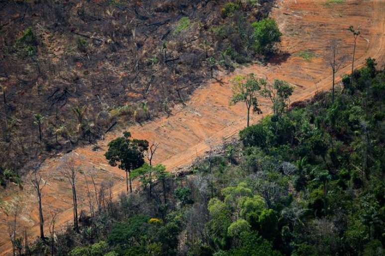 Nos últimos 4 anos, a perda florestal na Amazônia foi de 35.193 km², segundo o Imazon.