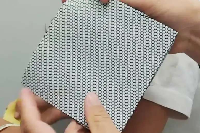 A pele do crocodilo é resistente, mas também flexível