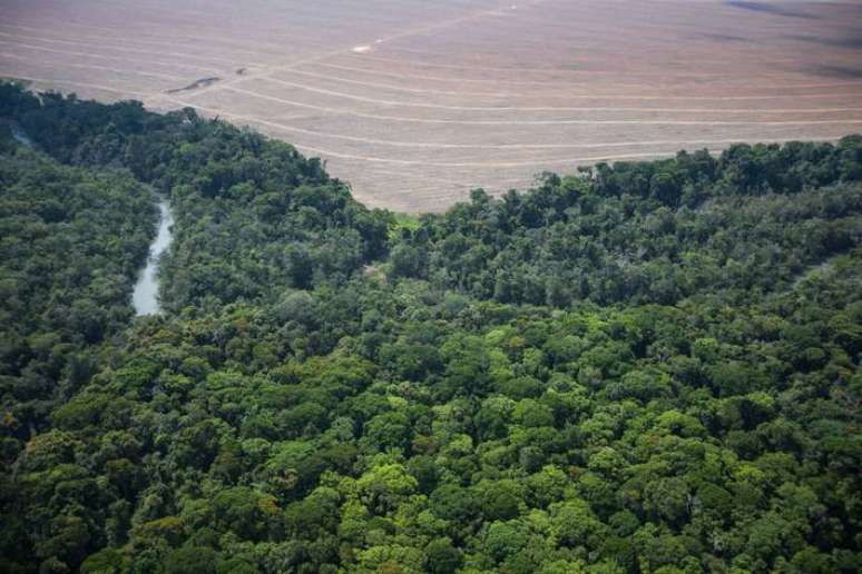 Algumas empresas já são consolidadas como referência em ESG, mas outras têm maior dificuldade em boas práticas ambientais, pela própria natureza do negócio.