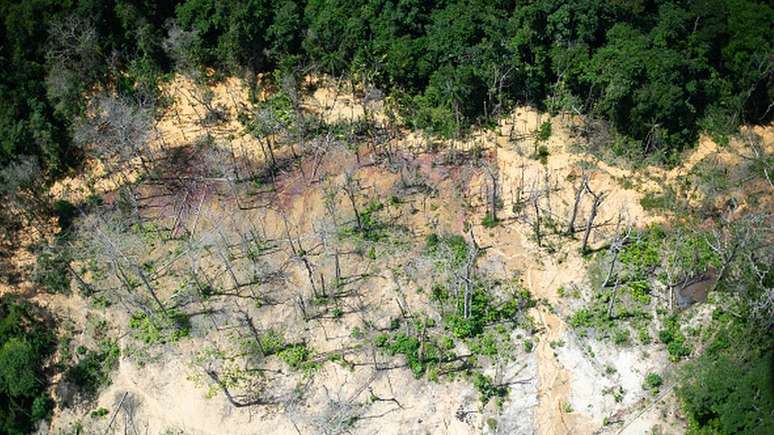 Mineração e falta de políticas públicas representam ameaças aos povos indígenas, defende corte internacional