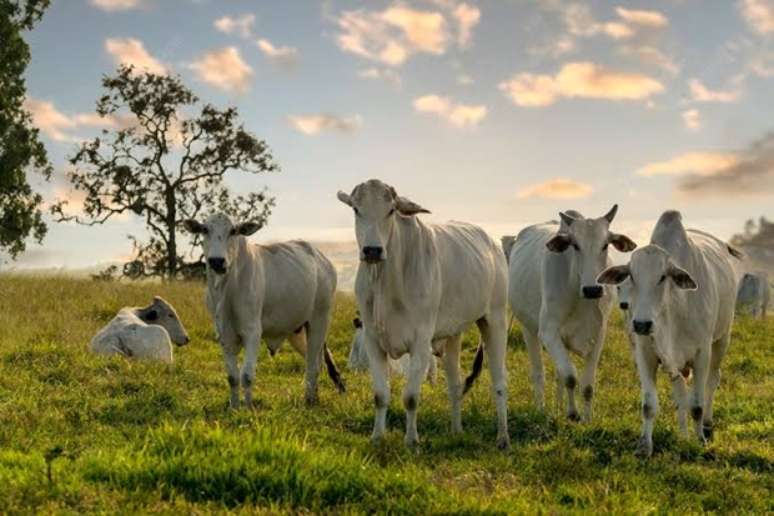 The new VCM regulation has an impact on agribusiness