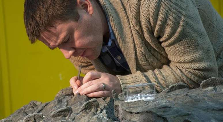 Caleb Brown examinou uma estrutura óssea que normalmente está fora do lugar em outros fósseis 