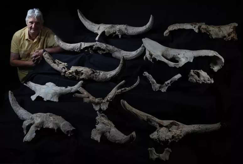 Foto de Baquedano com uma coleção de crânios de animais encontrados na caverna
