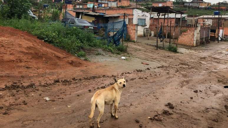 Ocupação Terra de Deus