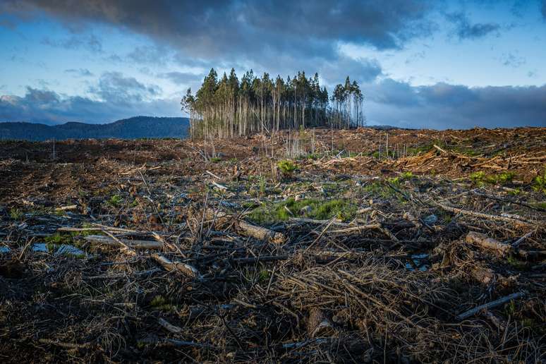 Além das mudanças climáticas, a poluição causa uma série de doenças respiratórias, como asma