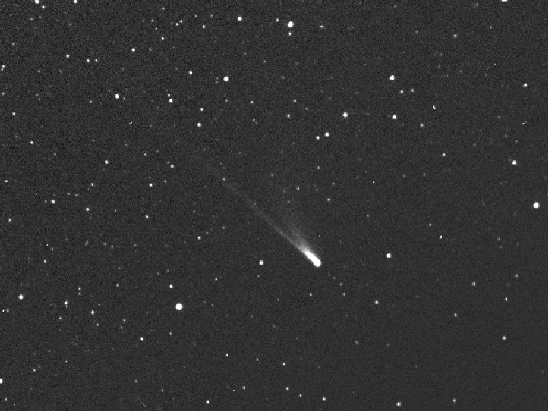 O cometa 96P/Machholz &eacute; diferente dos outros em composi&ccedil;&atilde;o