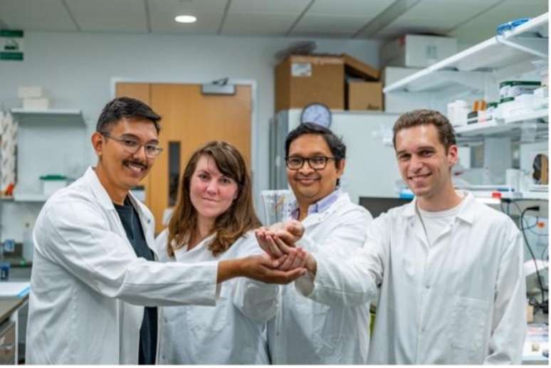 Debajit Saha (segundo a partir da direita) e sua equipe estão tentando explorar o cérebro de gafanhotos para desenvolver um sensor de detecção de câncer