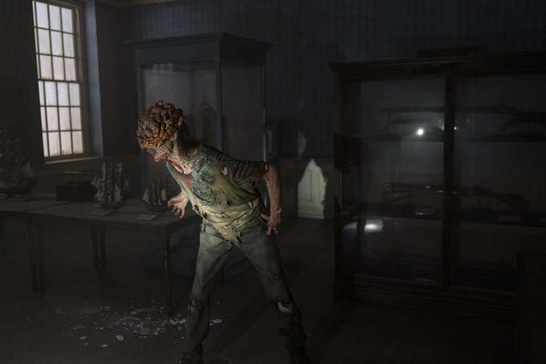 Cordyceps: Sabia que o fungo “zumbi” de The Last of Us existe na vida real?