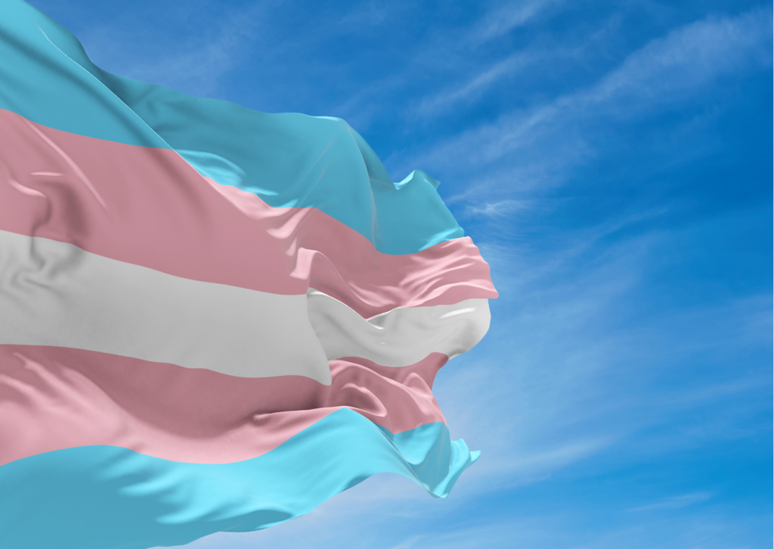 Bandeira que representa a comunidade trans.