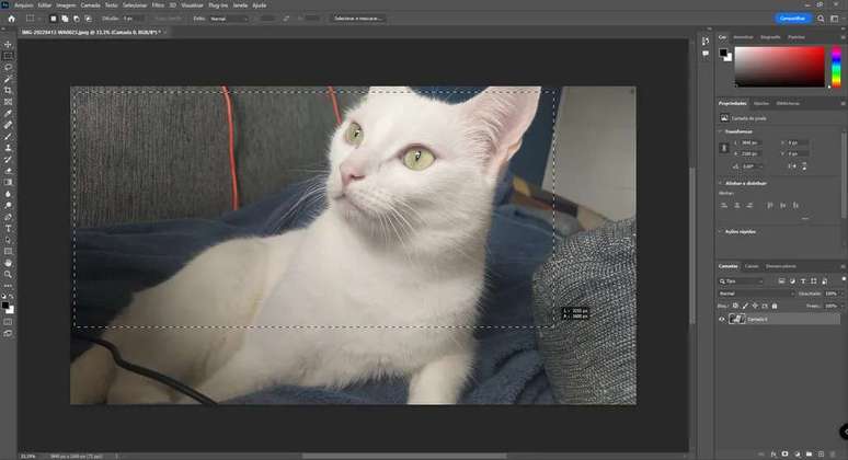 Rectangular marquee tool in use on a photo (Image: Rodrigo Folter/Screenshot)