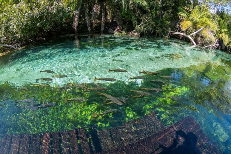 Bonito em Mato Grosso do Sul 