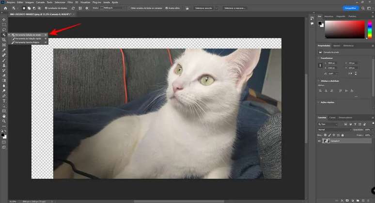 Display shortcuts for a tool when you select it (Image: Rodrigo Folter/Screenshot)