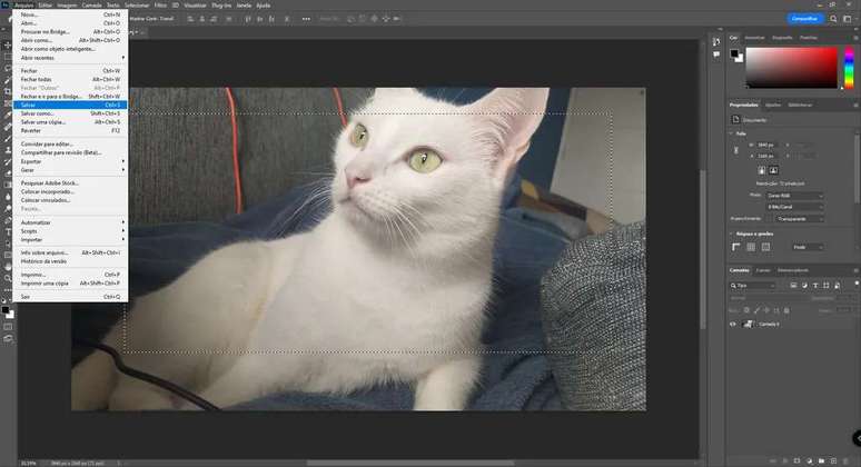 Remember to always save your project in Photoshop (Image: Rodrigo Folter/Screenshot)