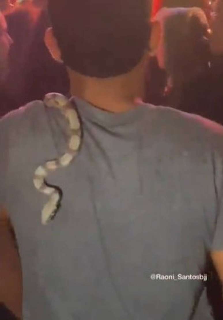 REP Festival organizer guarantees a new edition of the event in 2024 after criticism, mud, frogs and snakes