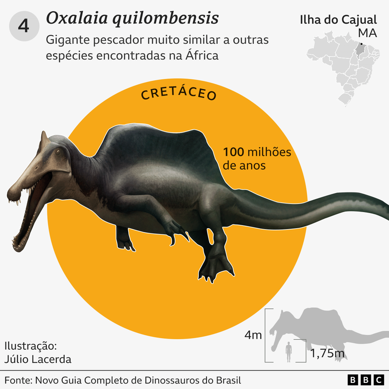 Gr&aacute;fico com detalhes e curiosidades sobre o Oxalaia quilombensis
