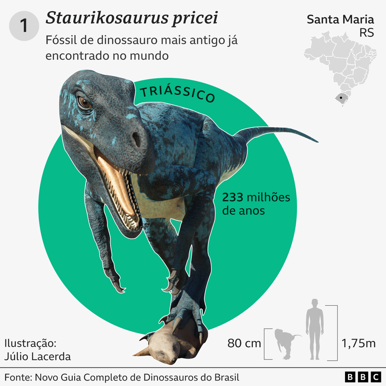 Gr&aacute;fico com detalhes e curiosidades sobre o Staurikosaurus pricei