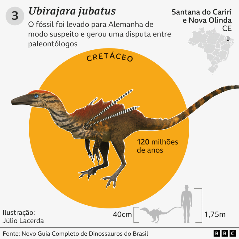 Gr&aacute;fico com detalhes e curiosidades sobre o Ubirajara jubatus