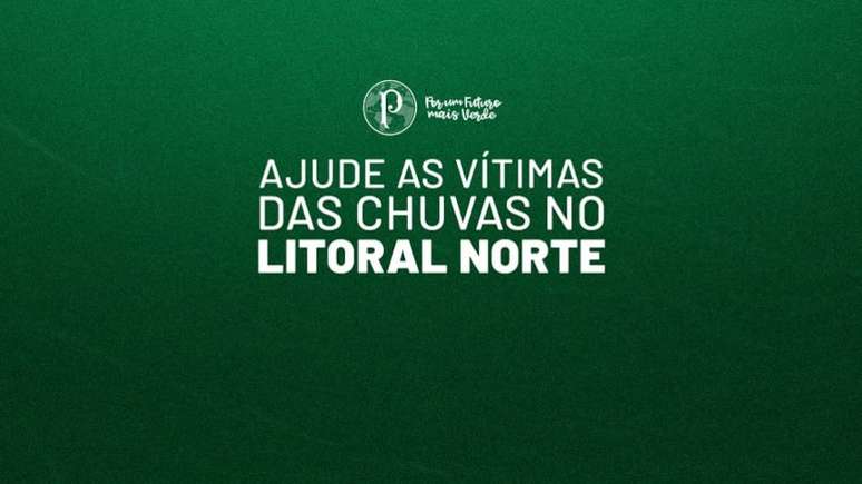 Palmeiras, verdão, últimas notícias e próximos jogos