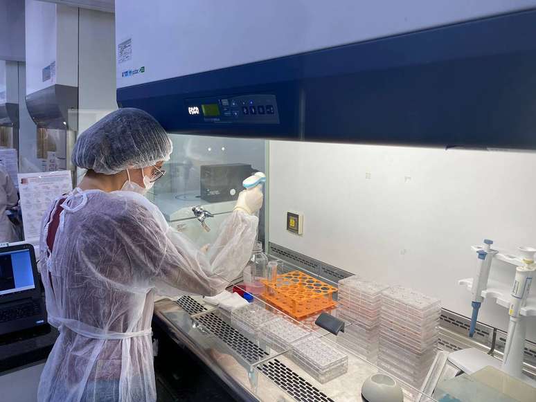 Grupo Leonora passou a realizar testes in vitro, três vezes mais caros, para substituir os testes em animais
