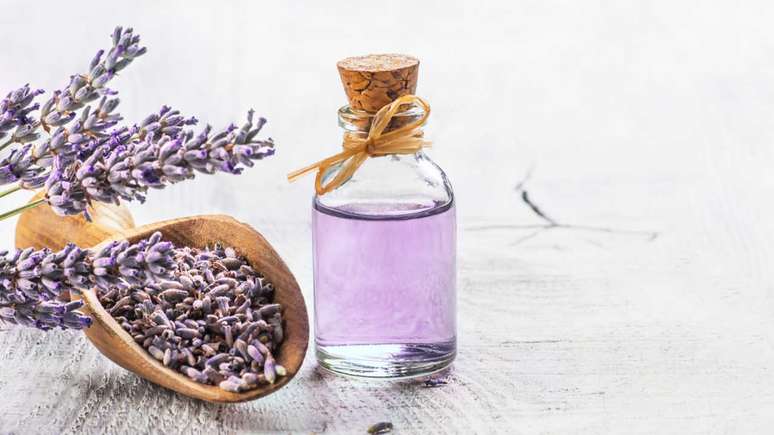 Discover 3 essential oils that renew energy
