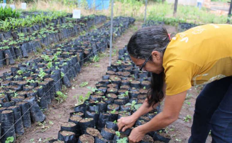 Projeto Escola de Empreendedorismo das Mulheres do Alto Xingu