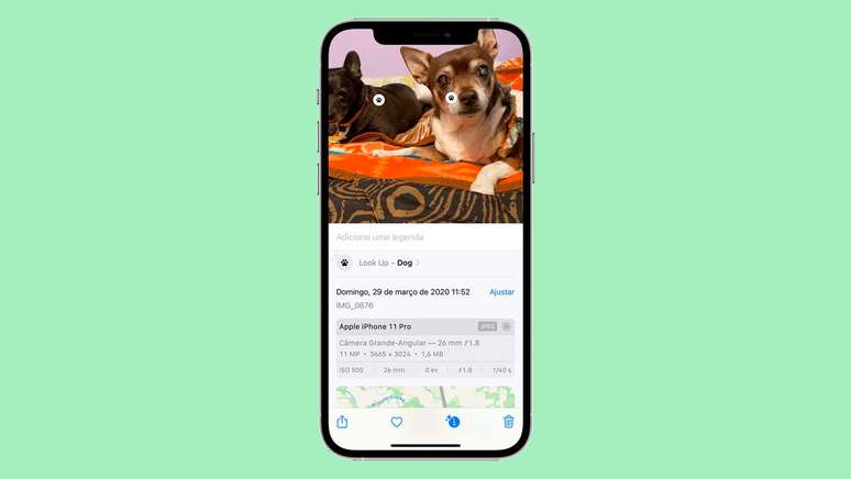 How to identify objects by photos on iPhone with Visual Search