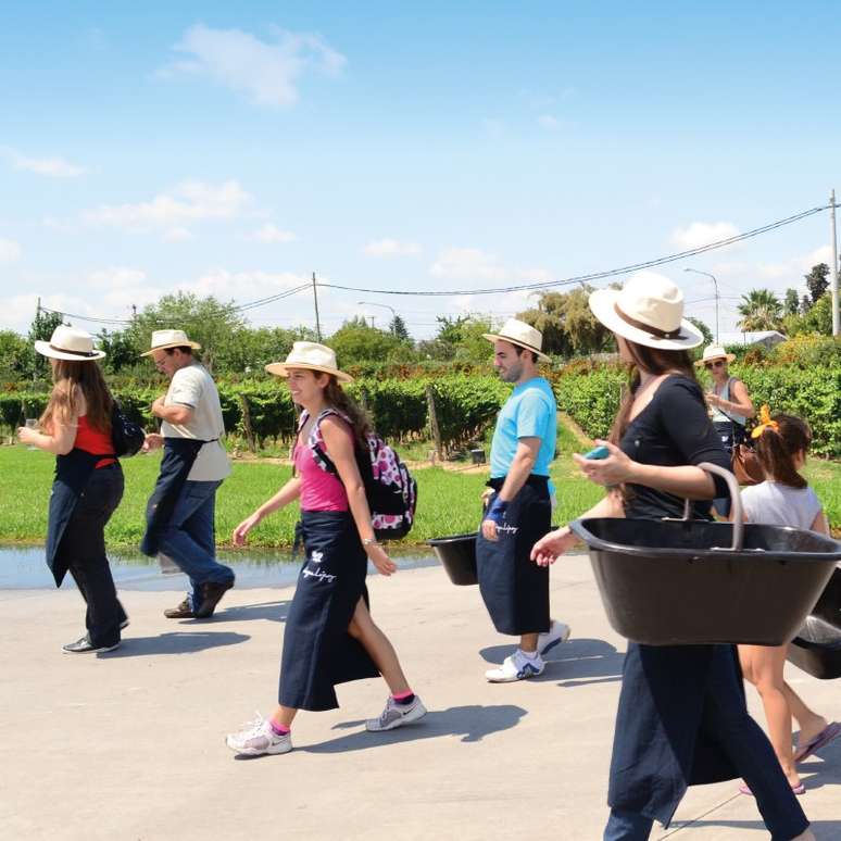 Visitantes vestidos adequadamente para a colheita de uvas na vin&iacute;cola Lopez.