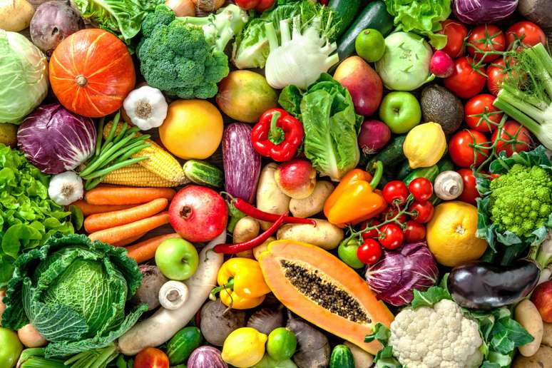 Carboidratos, proteínas, gorduras, vitaminas e sais minerais são fontes alimentares imprescindíveis ao bom funcionamento do corpo 