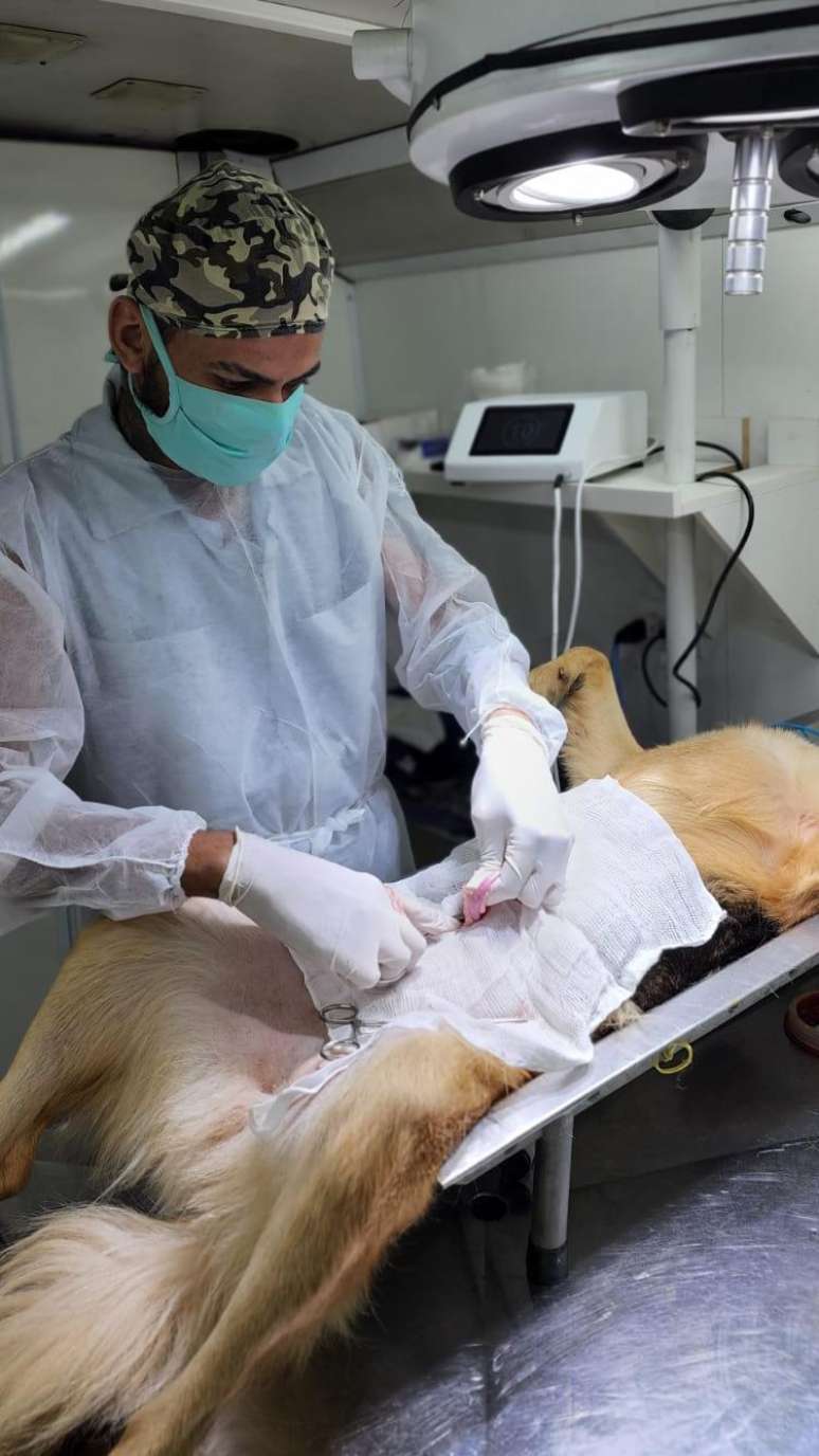 Rodrigo Mendes realizando castra&ccedil;&atilde;o dentro de seu &ocirc;nibus adaptado