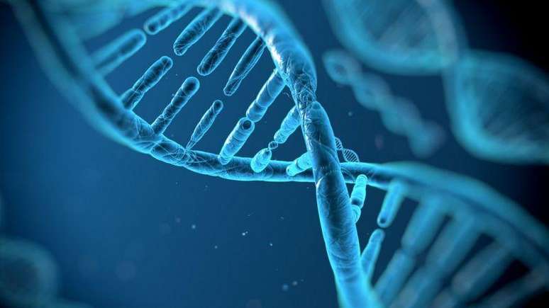 Regi&otilde;es repetitivas do DNA s&atilde;o as mais dif&iacute;ceis de ler e determinar