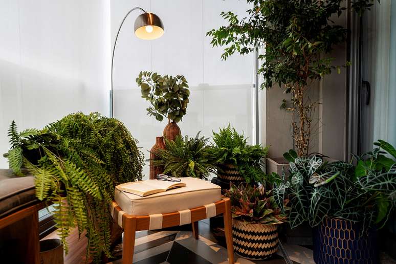 The balcony is one of the favorite spaces for growing plants. 