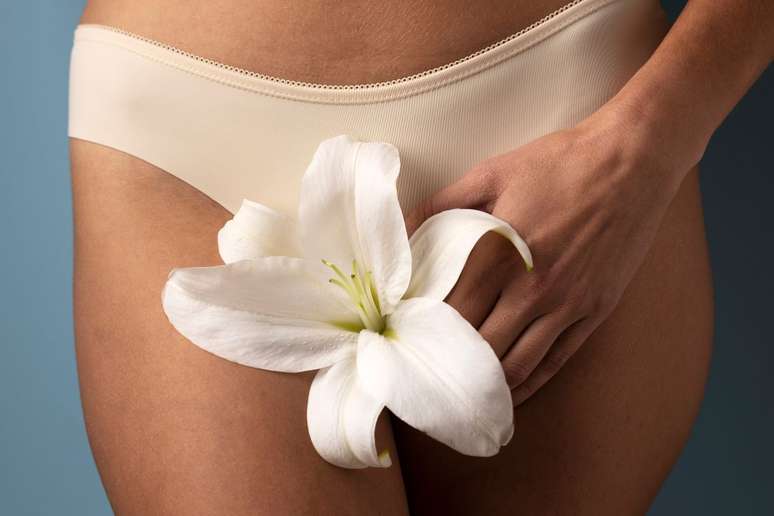 A flora vaginal é importante para manter a região sempre saudável |