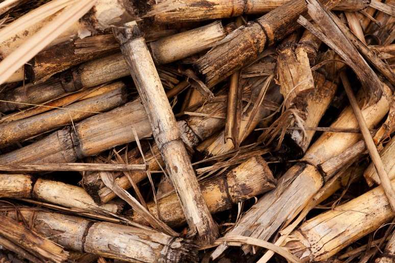 A produção de bioeletricidade inclui as variadas formas de biomassa, como bagaço e palha de cana, biogás, lixívia, resíduos de madeira, dentre outras