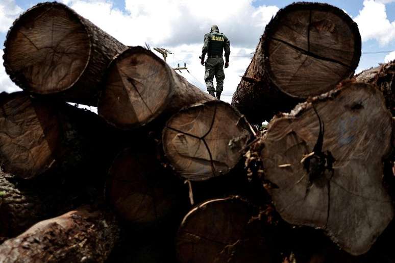 Logging is one of the illegal markets in the Amazon with the participation of criminal factions, according to the researcher Logging is one of the illegal markets in the Amazon with the participation of criminal factions, according to the researcher