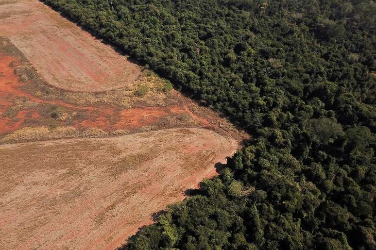 Factions control trafficking and finance environmental crimes in the Amazon, says researcher