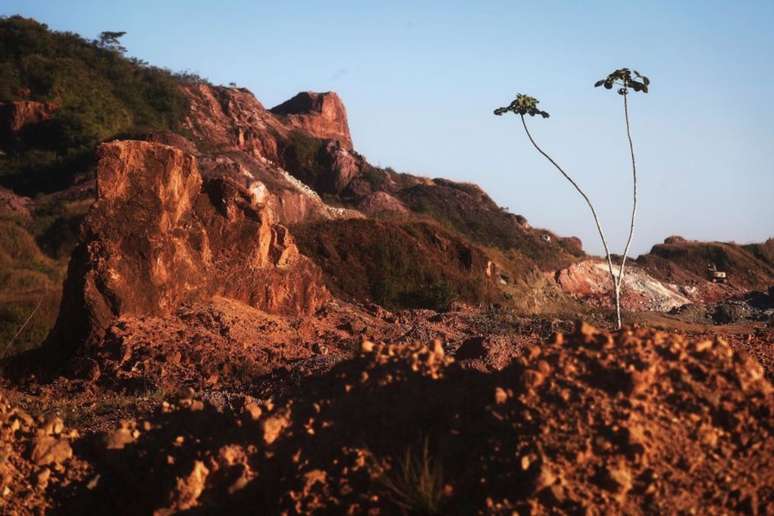 Mato Grosso e Pará são os estados com os maiores índices de desmatamento da Floresta Amazônica