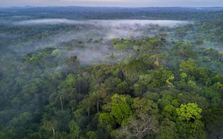 A Floresta Amaz&ocirc;nica era um ambiente hostil para os primeiros habitantes, que precisaram se adaptar (at&eacute; do ponto de vista gen&eacute;tico)