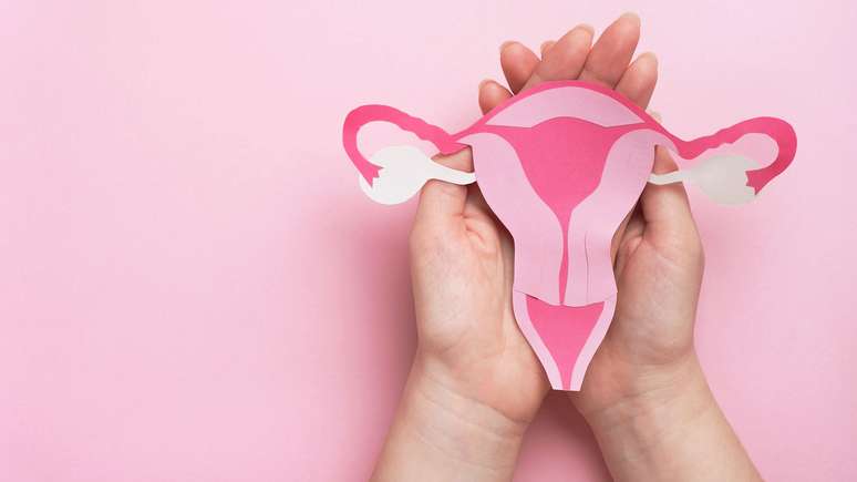 Tubal Ligation: What it is, recovery and other essential information