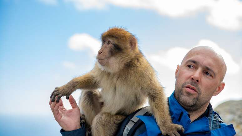 Why do humans have less hair than monkeys?