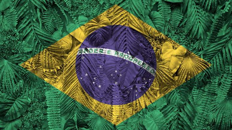 International Day of Forests |  5 animals that exist only in the forests of Brazil
