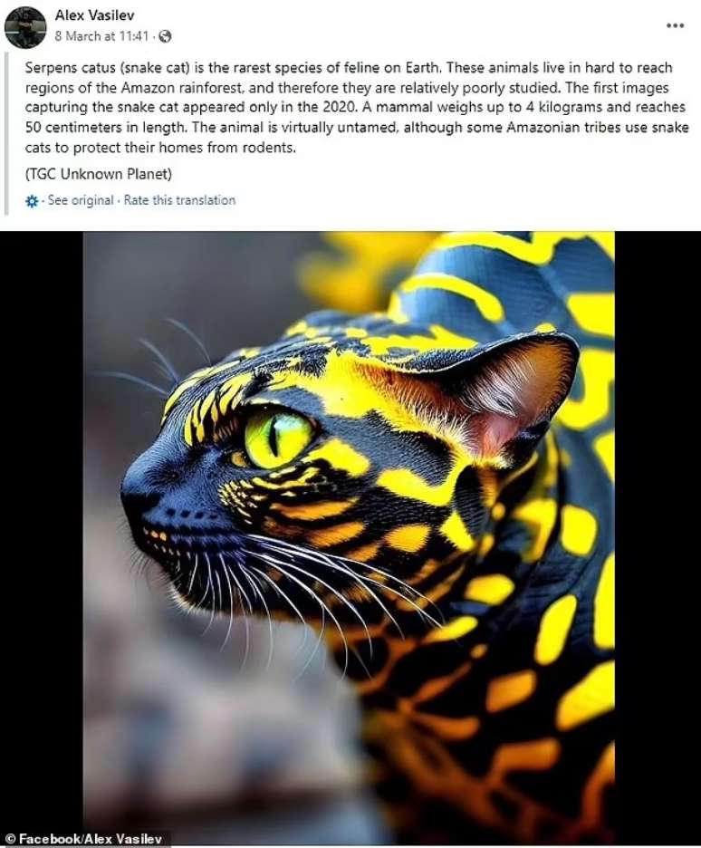 Usuário publicou montagem de gato-cobra no Facebook