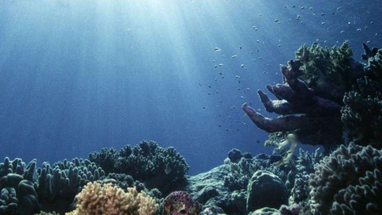 A faixa de luz que consegue atravessar a &aacute;gua determinou a luz vis&iacute;vel para os nossos olhos hoje em dia