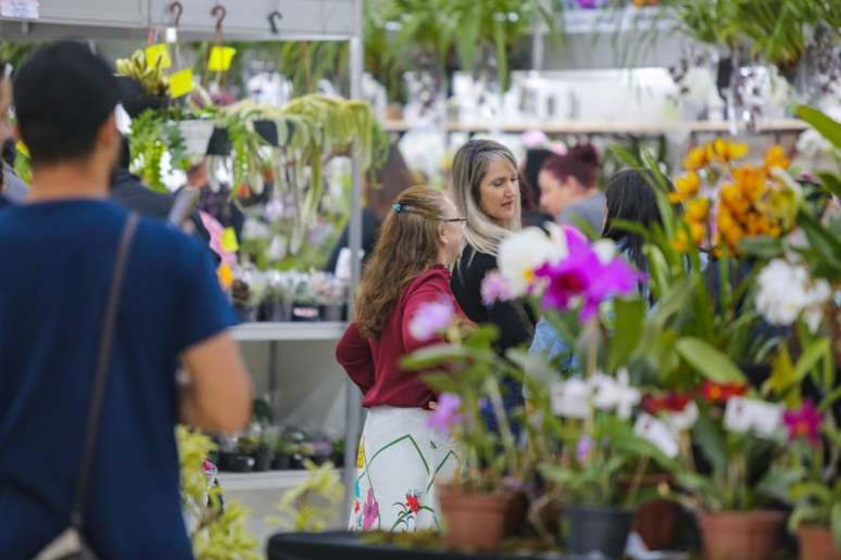 Expoá é o evento mais tradicional na cidade e atrai milhares de pessoas 