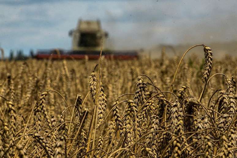 Brasil é o maior comprador de trigo argentino