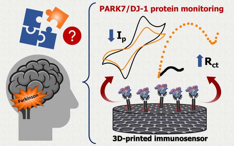 Protótipo pode ser miniaturizado e identifica níveis da proteína ligada ao Parkinson
