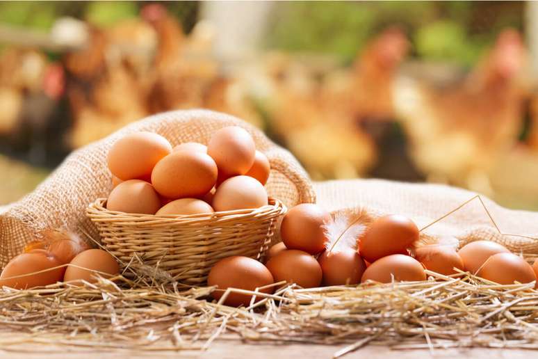 O ovo também é fonte de proteína 