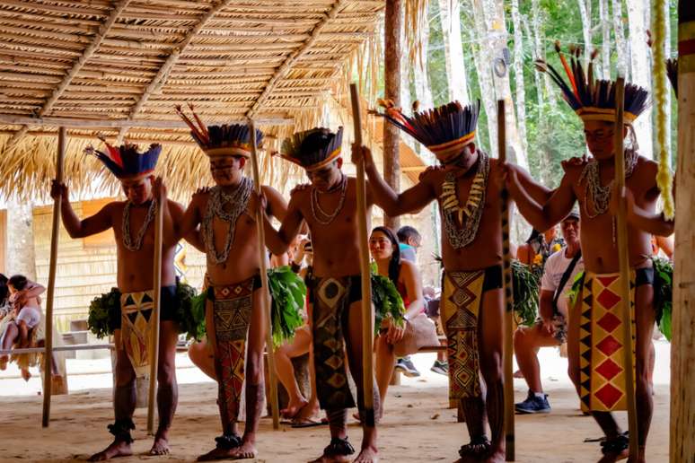 Para os povos origin&aacute;rios, a ancestralidade tamb&eacute;m &eacute; uma liga&ccedil;&atilde;o da humanidade com a natureza e suas comunidades 